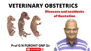 Diseases and accidents of gestation I Veterinary Obstetrics I GNP Sir I VGO I Mummification [upl. by Korff]