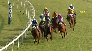 RACE NO  165  WIND SYMBOL WINS  The Sardar KBRamachandraraj Urs Memorial Trophy Div1 [upl. by Izaak13]