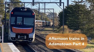 TNTV Vlog 129 Afternoon trains at Adamstown Part 4  Ft NIF transfer [upl. by Arem972]