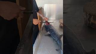 The Art of Fish Cutting A Masterclass in Culinary Skill [upl. by Kutzenco921]