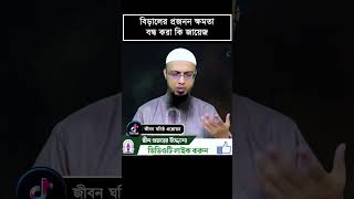 বিড়ালের প্রজনন ক্ষমতা বন্ধ করা কি জায়েজSaikh Ahmadullahজীবন ঘনিষ্ঠ প্রশ্নোত্তর [upl. by Tekcirc]