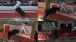 MONTFRINLigueCourse Camarguaise07082023SaumadeB LautierJC Blanc [upl. by Aiepoissac180]