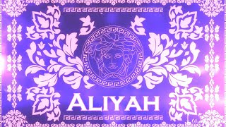 WWE Aliyah Custom Entrance Video Titantron [upl. by Etterraj]