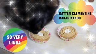 Vad gör katten när So Very Linda inte är hemma [upl. by Yrahcaz]