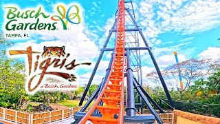 4K Tigris  Sky Rocket II Coaster  Front Seat POV  Busch Gardens Tampa Bay FL  02092023 [upl. by Ahmad]