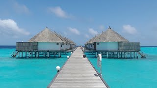 Angaga Island Maldives Resort review Superior water bungalow villa room tour WetravelMaldives [upl. by Anama]