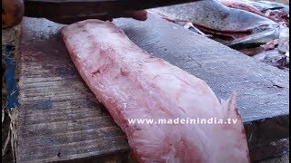 40kgs Bat Fish Cutting  Amazing Fast Fish Cutting street food [upl. by Arema]