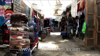 Pretty ladies sell warm woolens at small market corner in Ladakh [upl. by Aehsel486]