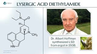 Elements of Science  Lysergic Acid Diethylamide [upl. by Alyse]