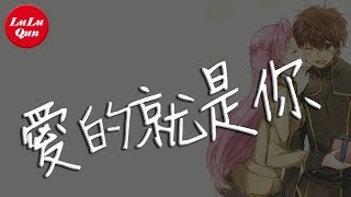 抖音《愛的就是你》劉佳【動態歌詞Lyrics】 [upl. by Llerroj]