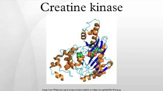 Creatine kinase [upl. by Llemmart844]