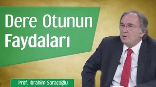 Dere Otunun Faydaları  Prof İbrahim Saraçoğlu [upl. by Alford]