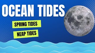 What Causes Ocean Tides Low Tide High Tide First Tide Second Tide Spring Tides Neap Tides [upl. by Mathi]