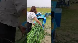 Agriculture Tool husbandry machinery amp Farm Ideas  Agri Gears [upl. by Christabella]