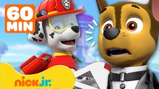 PAW Patrol  1 Stunde Spionagemissionen amp Rettungen  Nick Jr Deutschland [upl. by Aysahc631]