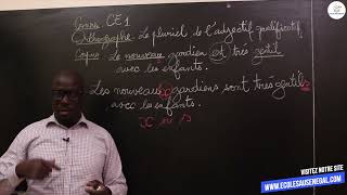 Cours  CE1 Français Orthographe  Le pluriel de ladjectif qualificatif  M Guèye [upl. by Olenolin201]