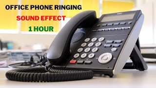 Office Phone Ringtone Sound Effect🎧 Office Phone Ringing Sound Effect 1 Hour [upl. by Josy580]