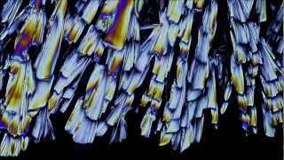 Timelapse of Crystals Growing [upl. by Rodolfo]