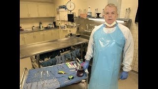 Real Stories  Death Unexplained  UK Coroner Documentary  Contains disturbing Scenes [upl. by Enelra]