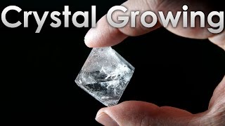 Grow Transparent Single Crystals of Alum salt at Home [upl. by Rohn]