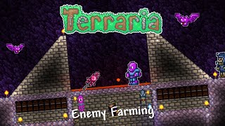 Terraria 14  Enemy Farming Guide [upl. by Naitsirhc]