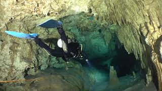 Dreamgate Cenote  One of the Most Beautiful Cavern Dives in Tulum Mexico [upl. by Ilowell126]