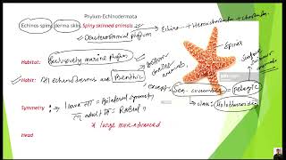 Phylum Echinodermata part 1 for CEEIOMNEET BY KAMAL NEPAL SIR [upl. by Edin]