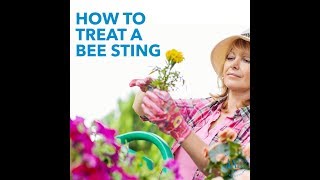 How to treat a bee sting [upl. by Aguie]