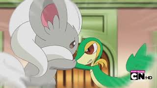 Pokémon Black amp White Cinccino vs Snivy [upl. by Marino]