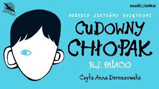 quotCudowny chłopakquot  audiobook [upl. by Behm194]