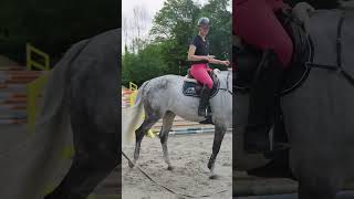 nouvelle vidéo sur ma chaîne 💜 equitation equestrian cso [upl. by Eeryk]