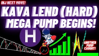 Mega Pump Of Kava Lend HARD Begins [upl. by Eimareg]