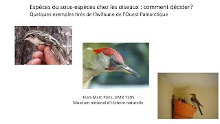 Espèces et sous espèces chez les oiseaux Comment décider  Qlq ex de lavifaune ouest paléarctique [upl. by Dreyer]