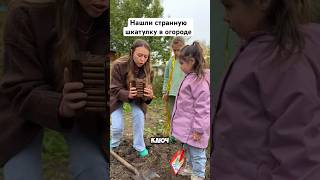 Странная шкатулка в огороде😱 [upl. by Ivets]