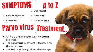 parvovirus in dogs  parvo dog virus treatment  parvovirus treatment  parvovirus symptoms  parvo [upl. by Pence]