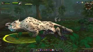 LoqueNahak WoW Rare Hunters Pet Guide 2019 still the same in 2023 patch 1005 [upl. by Grantley457]