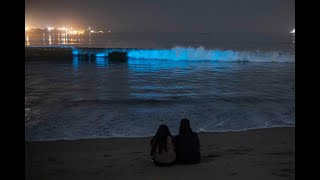 Bioluminescence in Long Beach [upl. by Lamok226]