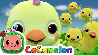 Five Little Birds 2  CoComelon Nursery Rhymes amp Kids Songs [upl. by Urbani668]