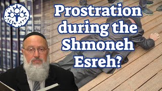 Prostration during the Shmoneh Esreh [upl. by Tabbatha]