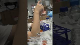 Rice Protoplast Extraction Experiment [upl. by Akimehs]