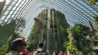 MustSee in Singapore Flower Dome amp Cloud Forest at Gardens by the Bay [upl. by Noraha]