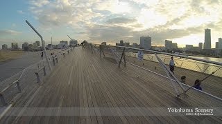 大さん橋・横浜 Osanbashi Pier Yokohama JAPAN [upl. by Wilt]