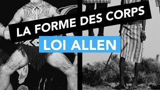 Loi Allen  La forme des corps [upl. by Ardnohsal]