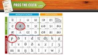 Help with Phonemic Chart Consonants  CELTA Course Tips [upl. by Risay]