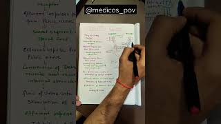 Micturition Reflex  physiology mbbs shortsvideo education medico reels shortvideo [upl. by Loziram]