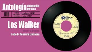 LOS WALKER  Rosaura lindaura  Disco de Vinilo 45RPM  Cumbia [upl. by Nueovas]