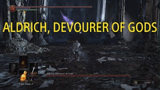 Beating Aldrich Devourer of Gods on the first attempt [upl. by Petrine]