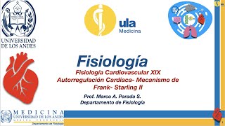 Fisiología Cardiovascular XIX Autorregulación Cardíaca Mecanismo de FrankStarling II [upl. by Maisie]