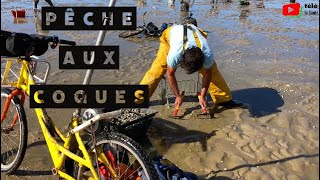 LA BAULE  🍽️ La Pêche aux Coques  Télé La Baule [upl. by Prochora]