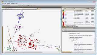 Create a minimum spanning tree based on MLST data BioNumerics 7 [upl. by Nodroj]